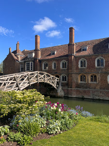5 REASONS TO VISIT CAMBRIDGE NOW